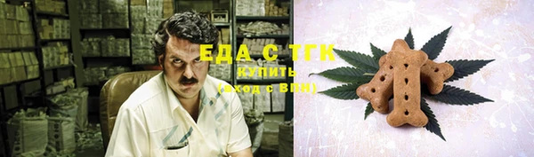 мдпв Гусев