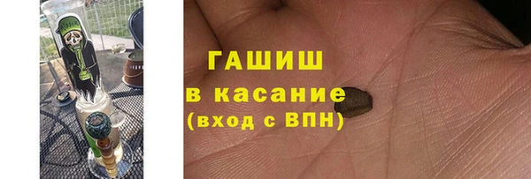 мдпв Гусев