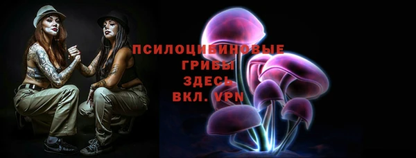 тгк Вяземский