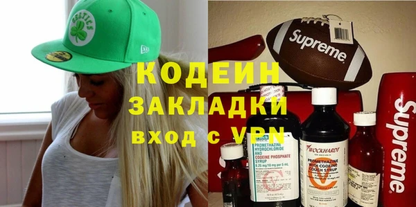 мдпв Гусев