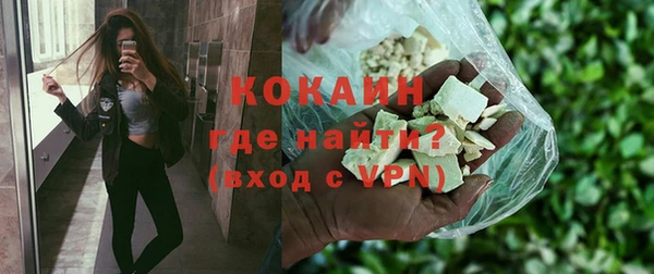 мдпв Гусев