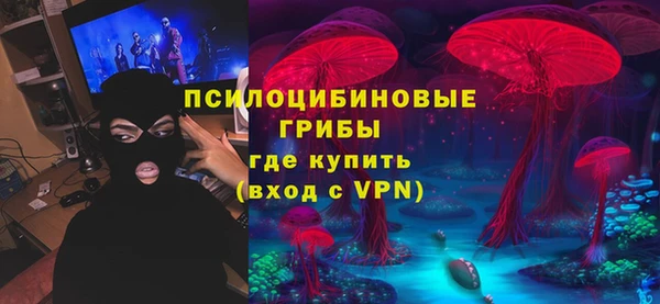 ECSTASY Вязьма