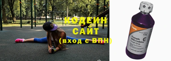 мдпв Гусев