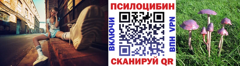 Псилоцибиновые грибы Psilocybe  цены   Звенигово 